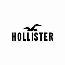 Hollister logo